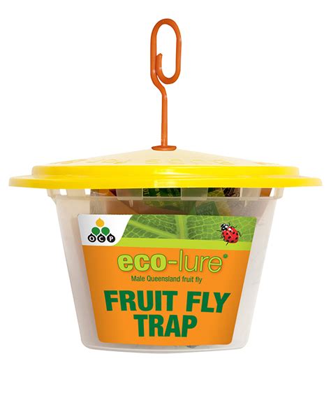 queensland fruit fly trap